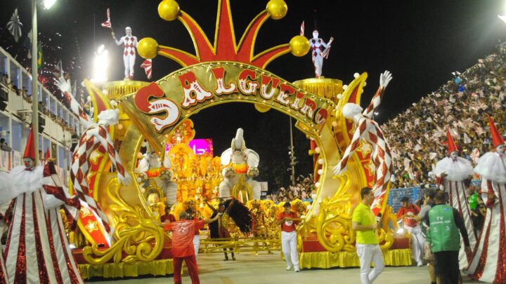 Veja as fotos do desfile do Salgueiro