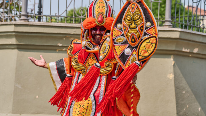 Prototipos de Fantasias da Acadêmicos de Vigário GeraL Carnaval 2025