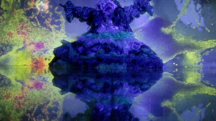 “POROROCAS PARAWARAS”: GRANDE RIO DIVULGA FOTOS DAS FANTASIAS DE 2025