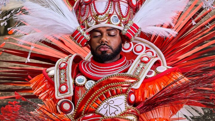 Unidos de Padre Miguel divulga fantasia para 2025