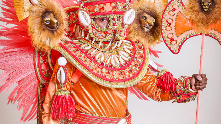 Unidos de Padre Miguel divulga fantasia para 2025