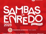 Superliga lança EPs da Série Prata e Bronze com os sambas para o carnaval de 2025